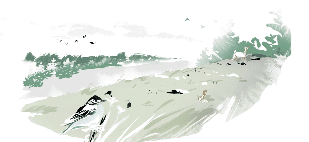 CHAMPS - landscape.png