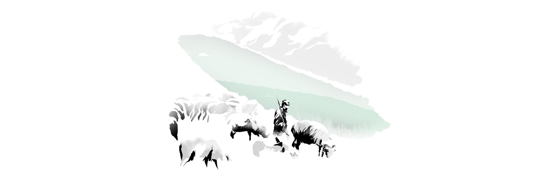 N3_bien_etre_animal_desktop_1760x567px.jpg