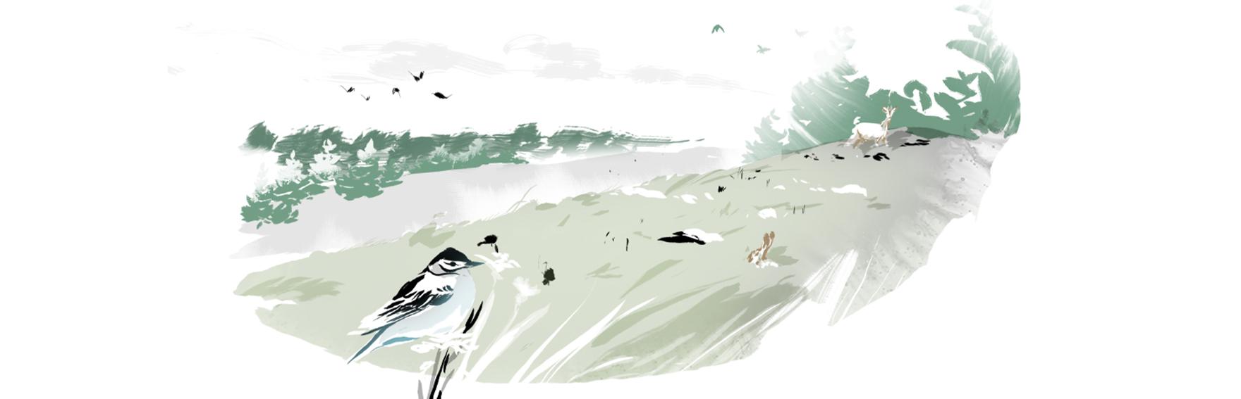 N3_restaurer_et_regenerer_desktop_1760x567px.jpg
